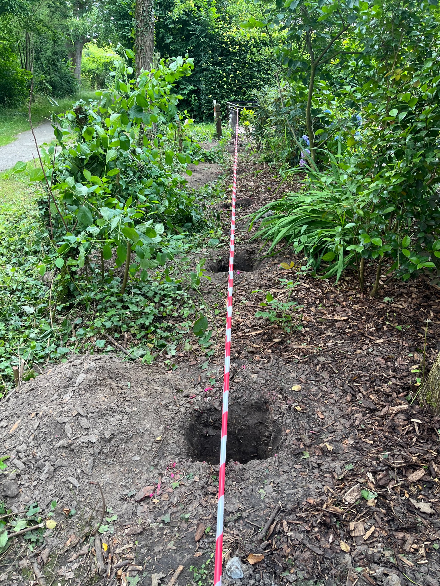 Abgesteckte Gartenfläche während vorbereitender Erdarbeiten